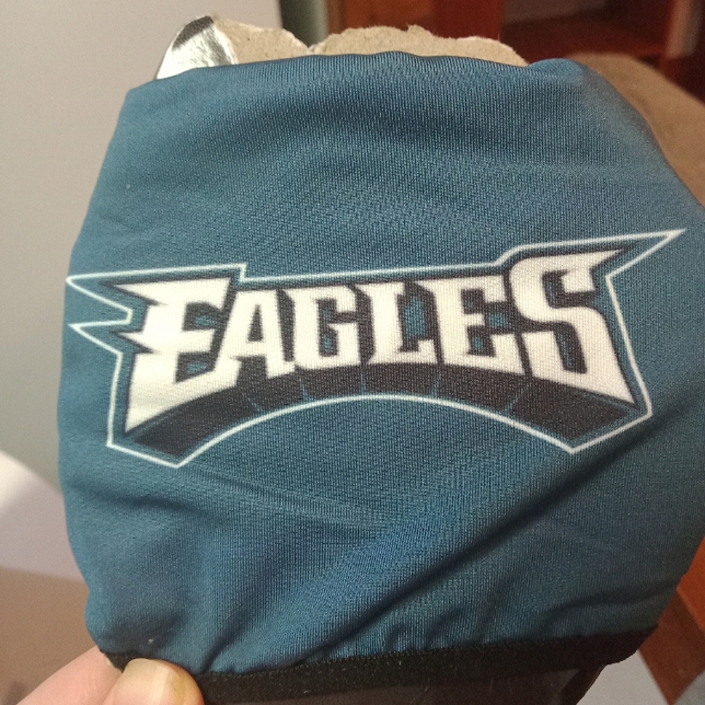 Eagle's Official NFL Apparel Reusable Facemask